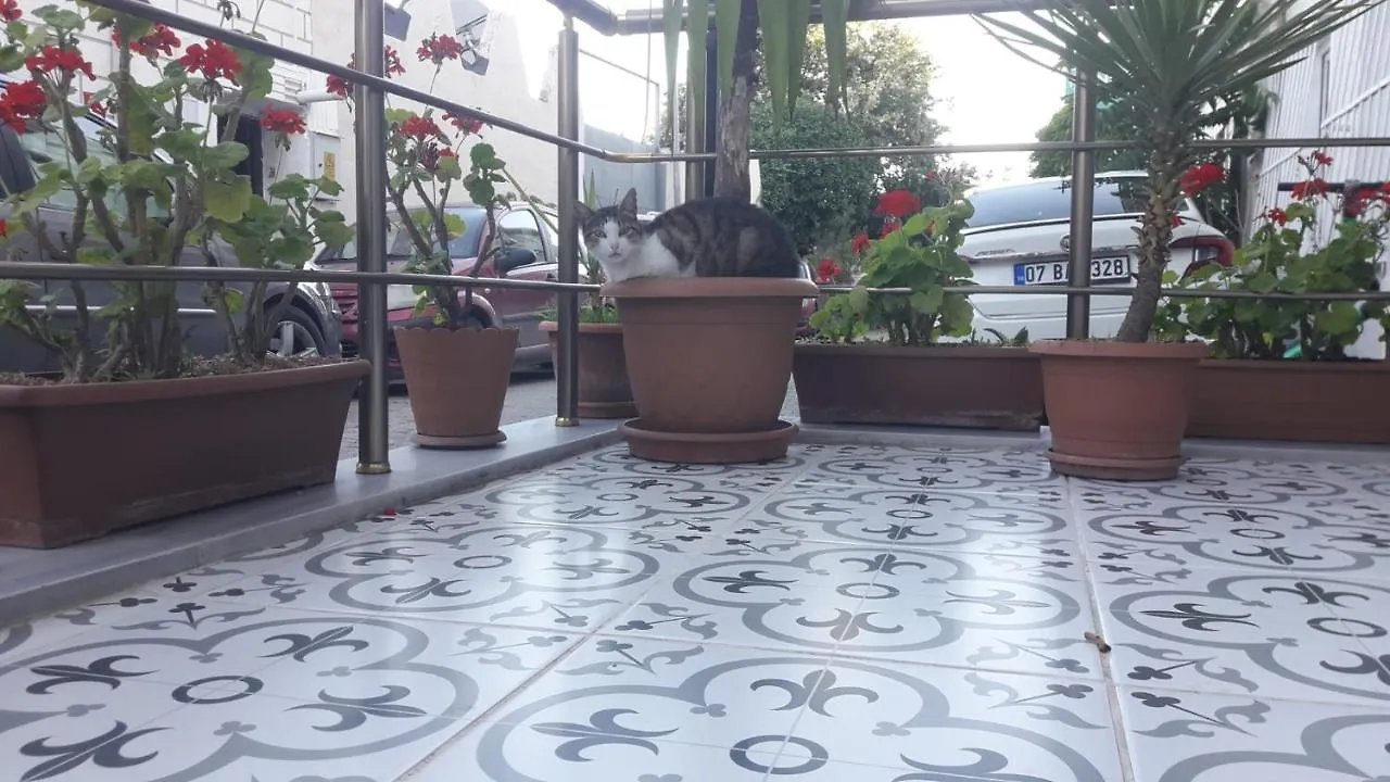 Yasin Apart Hotel Стамбул